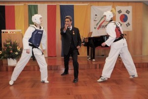 Taekwondo290