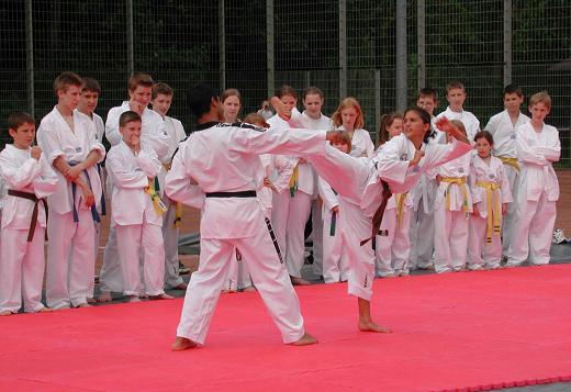 Taekwondo78
